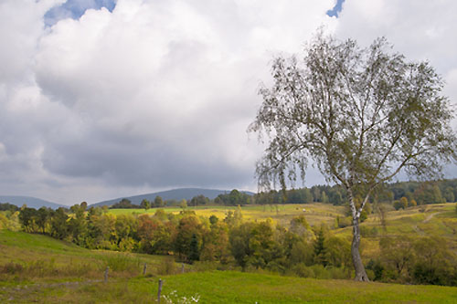 Magurski Park Narodowy